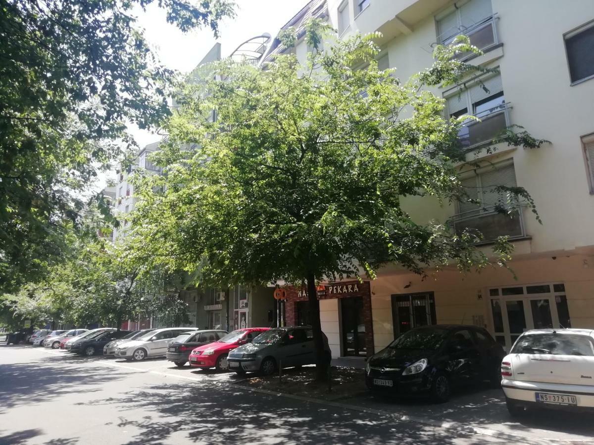 Two Kings Apartment Novi Sad Exterior foto